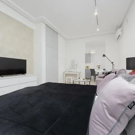 Modern With Air Conditioning In Close To Three Parks By Renters Prestige Apartment *